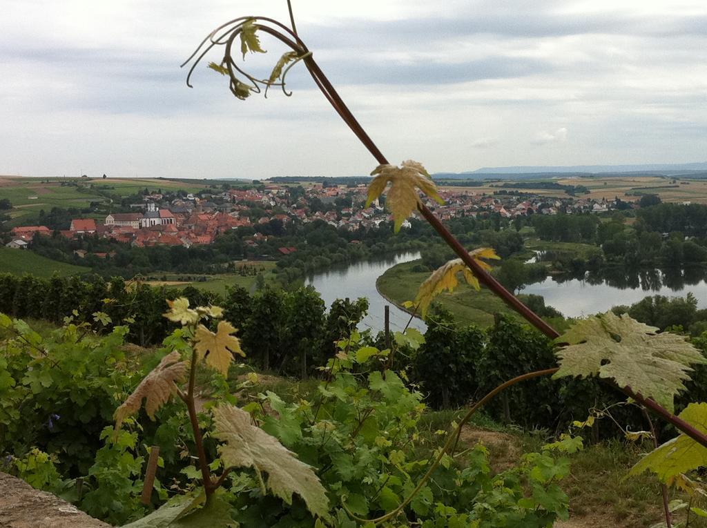 Akzent Am Bach 3* Dettelbach